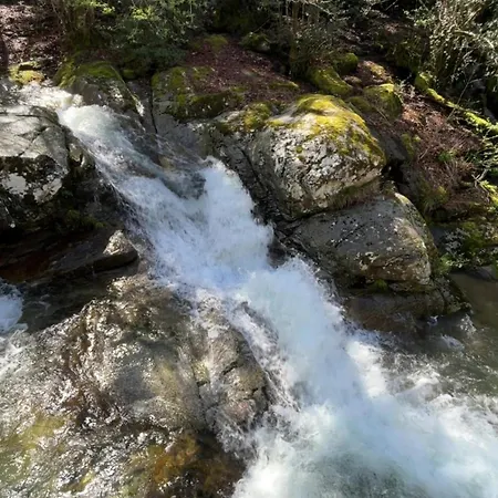 Belle Maison De Montagne Proche Ajaccio Bastelica