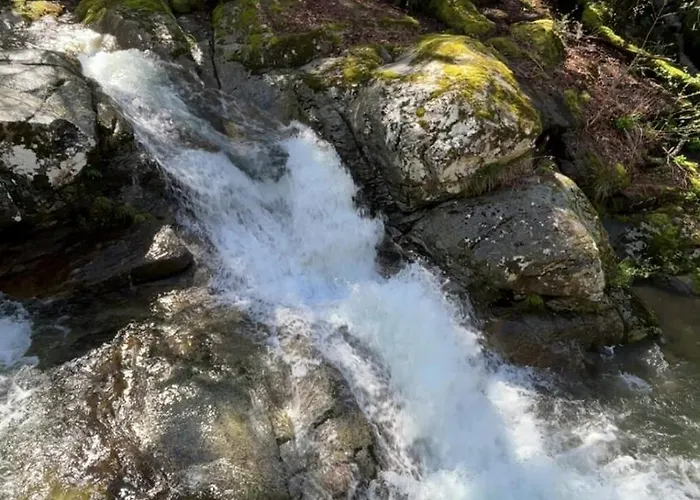 Belle Maison De Montagne Proche Ajaccio Bastelica