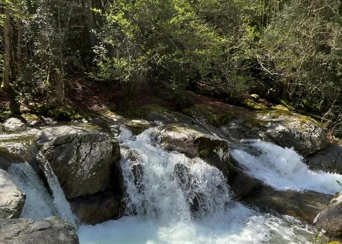 Belle Maison De Montagne Proche Ajaccio Holiday home Bastelica